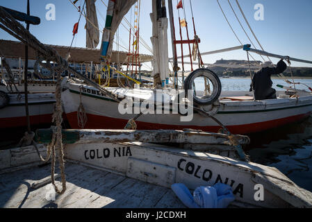 Egitto, Aswan Gouvernement, Aswan, Barca a Vela di viaggio attraverso il Nilo a Kitchener Isola per il Giardino Botanico Foto Stock