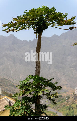 Capo Verde, Santo Antao, Caibros de Ribeira de Jorge, l'isola di Santo Antao è la penisola di Capo Verde Foto Stock