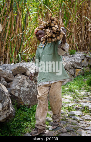 Capo Verde, Santo Antao, Paolo, escursione nella verde valle fare Paolo Foto Stock