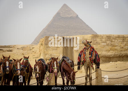 Egitto Giza Gouvernement, Giza, le Piramidi di Giza sono i siti del Patrimonio Mondiale dell'UNESCO Foto Stock