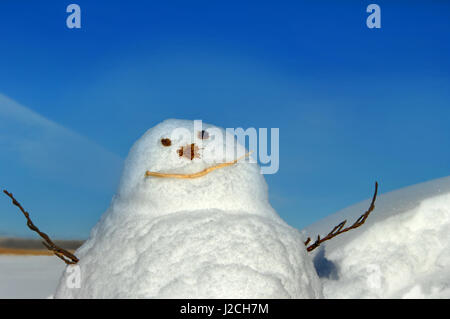 Vista dettagliata del pupazzo seduto davanti a un blu e il cielo sereno. Il suo volto è fatta di ramoscelli e fiori secchi. I bracci sono bastoni. Foto Stock