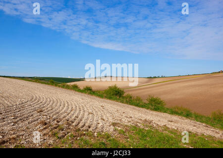 Le linee e i modelli in appena coltivato calcare nell'ondulato paesaggio panoramico del yorkshire wolds sotto un azzurro cielo molto nuvoloso in primavera Foto Stock