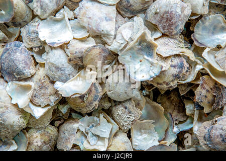 Il Vietnam, Quảng Ninh, thành phạ Hạ Long, Legenda Perla Halong Bay. Pearl Farm nella Baia di Halong. L'allevamento delle ostriche e perle oyster Foto Stock