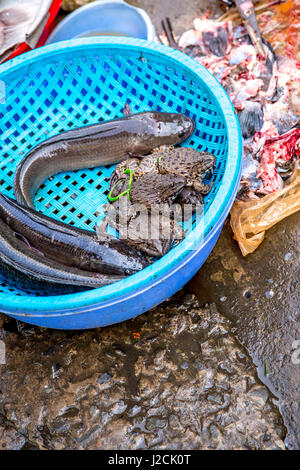 Il Vietnam, Cần Thơ, Can Tho, street vendite e commercianti nelle strade di Cần Thơ capitale e la più grande città del Delta del Mekong, la vendita di animali vivi Foto Stock