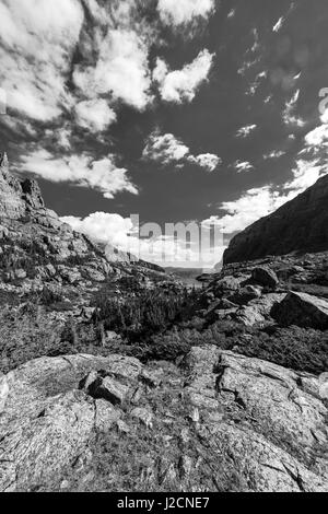 Vista la mattina giù per la valle di Taylor che si affaccia sul lago di vetro, Rocky Mountain National Park, COLORADO. Foto Stock