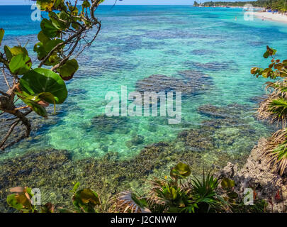 Roatan, Honduras blu oceano, reef, vegetazione che cresce sulle rocce. tropicale isola esotica, vacanza, resort, spiaggia sabbiosa in background Foto Stock