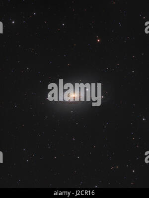 Messier 63 (NGC 5055) - la galassia di semi di girasole. Una galassia a spirale nella costellazione Canes Venatici (i cani da caccia). Foto Stock