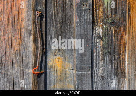 Texture di legno. Sfondo di vecchi pannelli. Vecchio gancio di metallo sul vecchio muro in legno con tavole sbiadito Foto Stock
