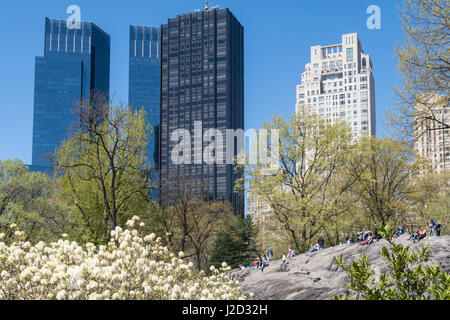 Torri lungo la Central Park West dietro la roccia di ratto,C entral Park in primavera, New York City, Stati Uniti d'America Foto Stock