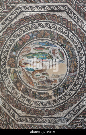 Pesce di mare e crostacei raffigurati in mosaico romano datato al III secolo d.c. esposti al Museo de Santa Cruz (Museo Santa Cruz) in Toledo, Spagna. Foto Stock