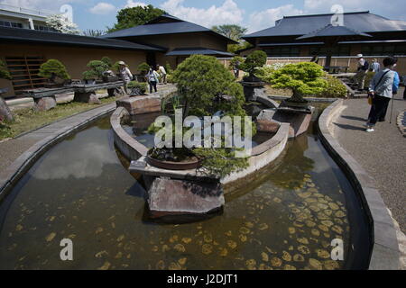 Saitama, Giappone. 28 Aprile, 2017. Alberi sul display a Omiya Arte Bonsai Museum il 27 aprile 2017 a Saitama, Giappone. Il museo presenta una mostra speciale per commemorare il 8° mondo Bonsai Convenzione che si sta svolgendo a Saitama City da aprile 27-30. Credito: Aflo Co. Ltd./Alamy Live News Foto Stock