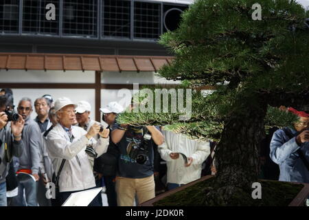 Saitama, Giappone. 28 Aprile, 2017. Visitatori ammirare gli alberi di bonsai in mostra presso il 8° mondo Bonsai Convention on April 28, 2017 in Saitama, Giappone. La manifestazione si snoda per tre giorni a Saitama Super Arena e in altre sedi in città e accoglie i visitatori provenienti da 140 paesi. Credito: Aflo Co. Ltd./Alamy Live News Foto Stock