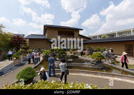 Saitama, Giappone. 28 Aprile, 2017. I visitatori si radunano a Omiya Arte Bonsai Museum di Saitama il 28 aprile 2017 in Giappone. Il 8° mondo Bonsai Convenzione corre per tre giorni fino al 3 aprile a Saitama Super Arena e in altre sedi in città. Saitama City è la casa di Omiya Bonsai Village una zona dove molti coltivatori di bonsai spostati da Tokyo a stabilirsi dopo il grande terremoto di Kanto nel 1923. Il primo mondo Bonsai Convenzione si è svolto anche in Saitama nel 1989 e quest'anno l'evento è atteso per attirare i visitatori internazionali provenienti da ogni continente. Credito: Rodrigo Reyes Marin/AFLO/Alamy Live News Foto Stock