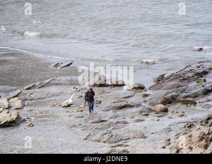 Ilfracombe, Devon, Regno Unito. Il 28 aprile 2017. Un uomo sulla spiaggia su un luminoso Nuvoloso Giorno. Credito: Dan Tucker/Alamy Live News Foto Stock