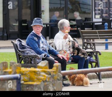 Ilfracombe, Devon, Regno Unito. Il 28 aprile 2017. Gelati di essere goduto dalla spiaggia su un luminoso Nuvoloso Giorno. Credito: Dan Tucker/Alamy Live News Foto Stock