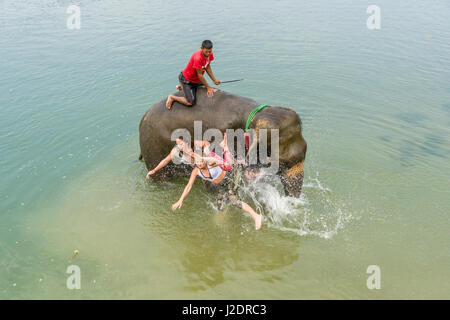 Un elefante (Elephas maximus indicus) è lanciare due donne turistica nel fiume rapti in Chitwan il parco nazionale Foto Stock