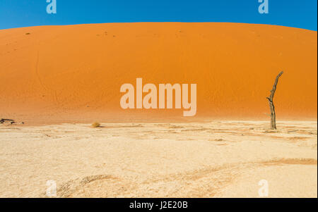 Enorme, di alte dune di sabbia nani un albero morto in piedi lonely in un arido bacino desertico - Sossusvlei, Namib Desert, Namibia Foto Stock