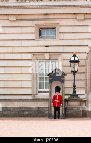 Soldato britannico di sentinella fuori Buckingham palace Foto Stock