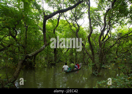 Ratargul acqua fresca palude foresta. Si tratta di un interessante ed emozionante per il turista avventuroso. Sylhet, Bangladesh. Foto Stock