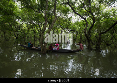 Ratargul acqua fresca palude foresta. Si tratta di un interessante ed emozionante per il turista avventuroso. Sylhet, Bangladesh. Foto Stock