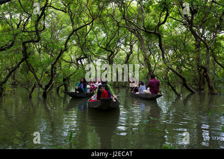 Ratargul acqua fresca palude foresta. Si tratta di un interessante ed emozionante per il turista avventuroso. Sylhet, Bangladesh. Foto Stock