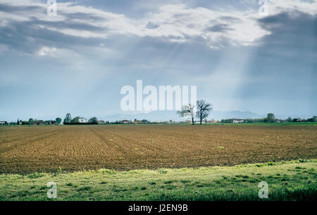 Terreno coltivato nella Valle Padana. Bologna Italia Foto Stock