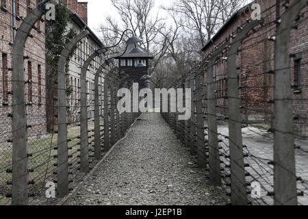 A fila doppia del filo spinato in Auschwitz Foto Stock