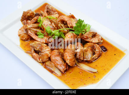 Gamberi saltati con salsa di pomodoro e le erbe sul piatto bianco Foto Stock