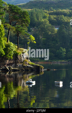 Costa rocciosa in Portree Harbour Foto Stock