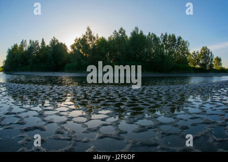 Tidal velme nel delta olandese Foto Stock