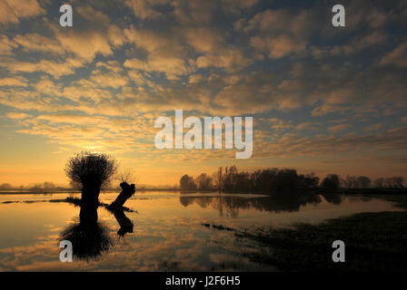 Tramonto sui terreni alluvionali del fiume IJssel. Foto Stock