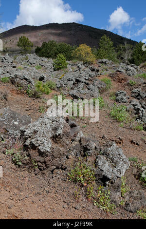 Clotted lava vicino alla cima del vulcano Vesuvio Foto Stock