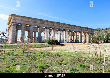 Dorian Tempio greco di Segesta. V secolo A.C. Sicilia, Italia Foto Stock