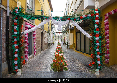 Decorazioni Dei Fiori Di Carta Di Tomar Immagine Stock - Immagine di  europa, festeggiamenti: 22837445