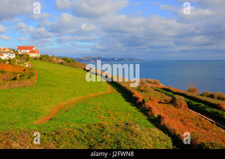 South west coast path vicino a Torquay Devon al di sopra di Saturno Cove Foto Stock