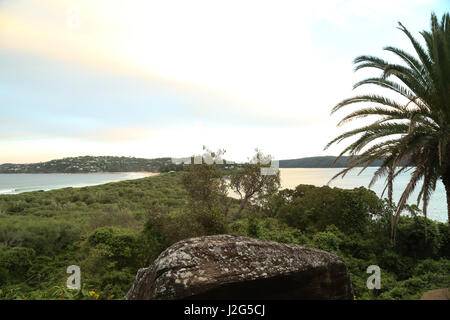 Vista verso Palm Beach (sinistra) e Pittwater (a destra) dal promontorio Barrenjoey. Foto Stock