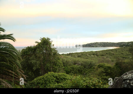 Vista verso Palm Beach dal promontorio Barrenjoey in Ku-ring-gai Chase National Park, Sydney, Australia. Foto Stock