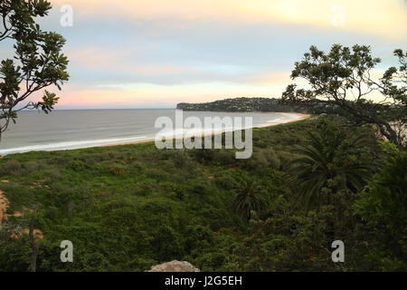 Vista verso Palm Beach dal promontorio Barrenjoey in Ku-ring-gai Chase National Park, Sydney, Australia. Foto Stock