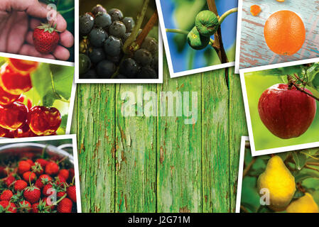 Organico Produzione di frutta, photo collage con copia spazio - vari producono frutta fotografia sulla superficie di legno, vista dall'alto Foto Stock