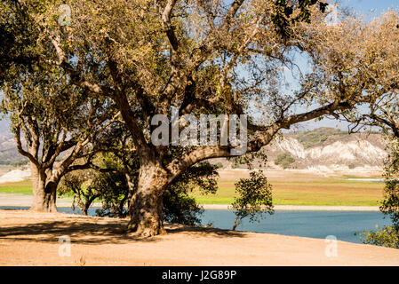 Stati Uniti d'America, la California Centrale, siccità Spotlight 3a, Santa Ynez Valley Expedition, Lago Cachuma serbatoio (dietro Bradbury Dam) a livello basso in 4 anni di siccità (formato di grandi dimensioni disponibili) Foto Stock