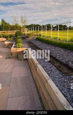 Bella e paesaggistici, soleggiato giardino privato (design contemporaneo, patio, arbusti ed erbe in linee sul bordo in rilievo) - Yorkshire, Inghilterra, Regno Unito. Foto Stock