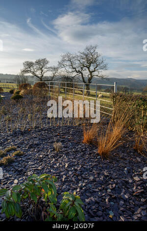 Inverno pieno di sole in prospettiva di un angolo di un bel giardino privato, nello Yorkshire, Inghilterra, Regno Unito - frontiera erbaceo con scaglie di ardesia, piante, arbusti e graminacee. Foto Stock