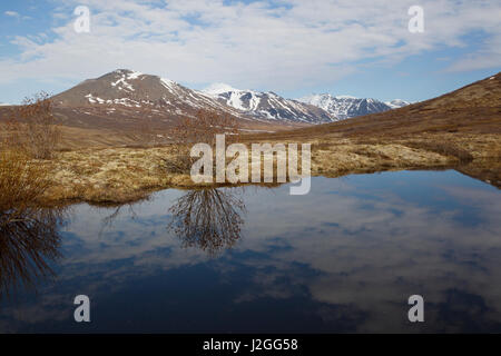 Kigluaik montagne, Seward Peninsula, Alaska Foto Stock