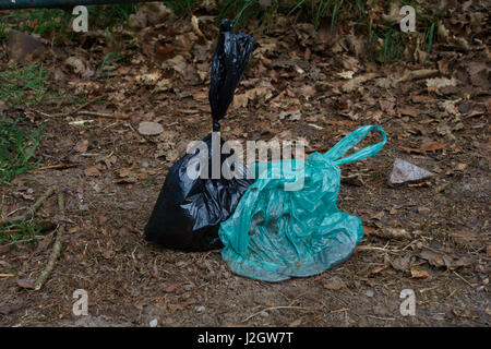 Cane di sacchetti di rifiuti a sinistra a lato del sentiero su Cannock Chase. Staffordshire. Regno Unito Foto Stock