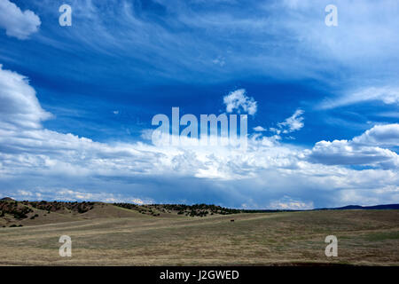 Autostrada 78, Nuovo Messico, alte praterie alpine e le nuvole. Praterie con una vacca. (Grandi dimensioni formato disponibile) Foto Stock