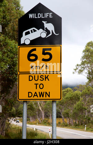 La fauna selvatica di avvertimento segno di velocità, Tasmania, Australia Foto Stock