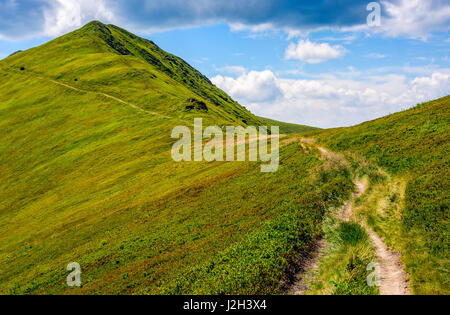 Percorso attraverso un prato erboso sul pendio di una collina. destinazione - picco di montagna. bellissimo paesaggio estivo nel bel tempo con poche nuvole su un cielo blu. Foto Stock
