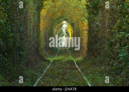 Nuova area del tunnel naturale di 'amore' formata da alberi in Romania Foto Stock