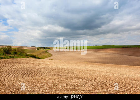 Le linee e i modelli in appena coltivato calcare nell'ondulato paesaggio panoramico del yorkshire wolds sotto un azzurro cielo molto nuvoloso in primavera Foto Stock