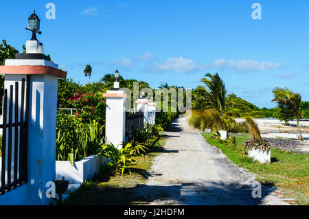 Piccolo percorso con palme e piante su un isola dei Caraibi, Caye Caulker, Belize Foto Stock
